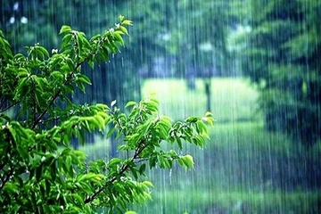 بارانبارین لە چەند ناوچەیەکی هەرێم دەستپێدەکات