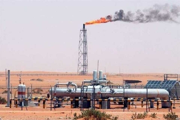 بەهۆی سەرپێچیی ژینگەیی پاڵاوگەکان 43 کەس دەستگیر کراون و 85 پاڵاوگە داخراون